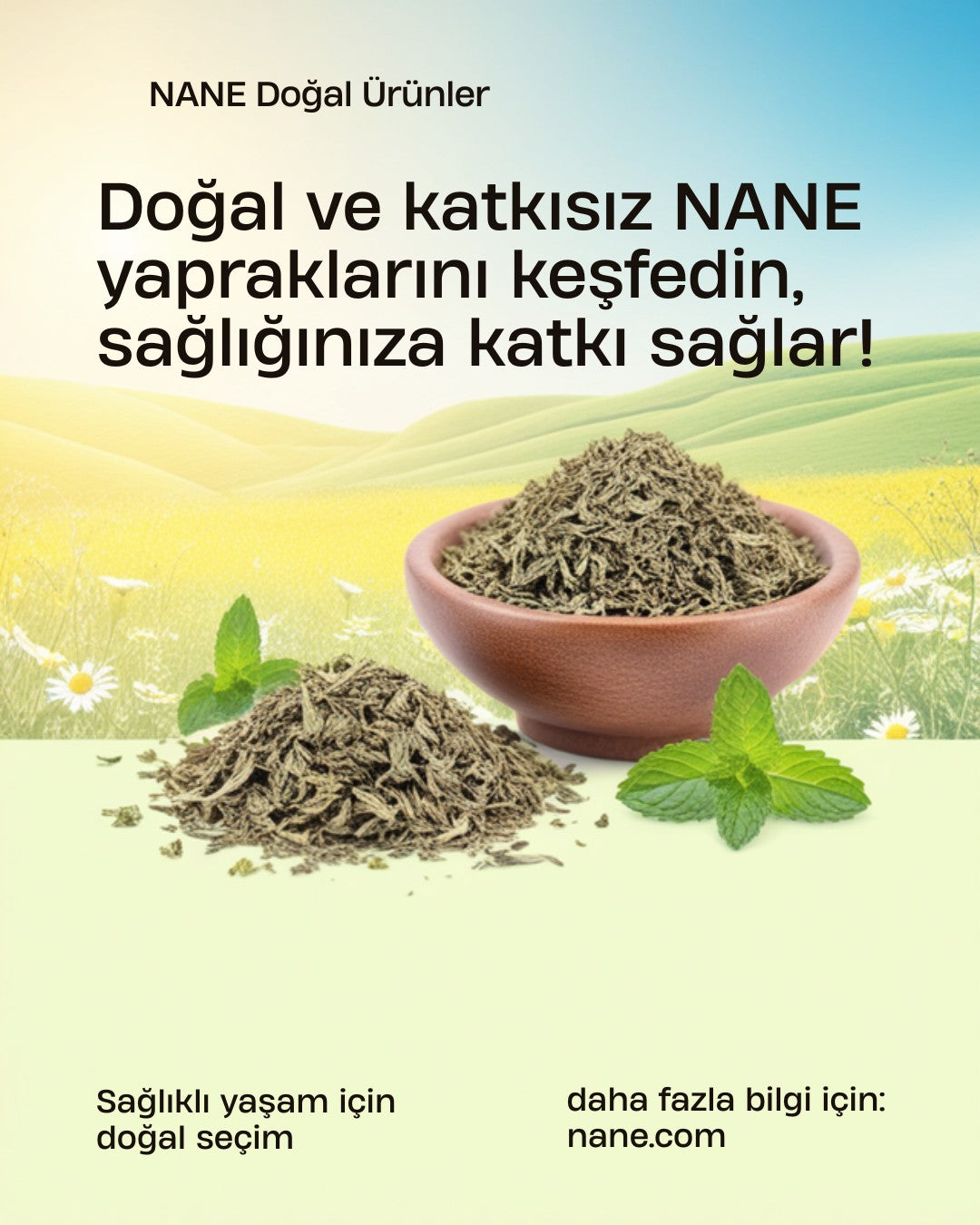 Nane – Doğal & Katkısız