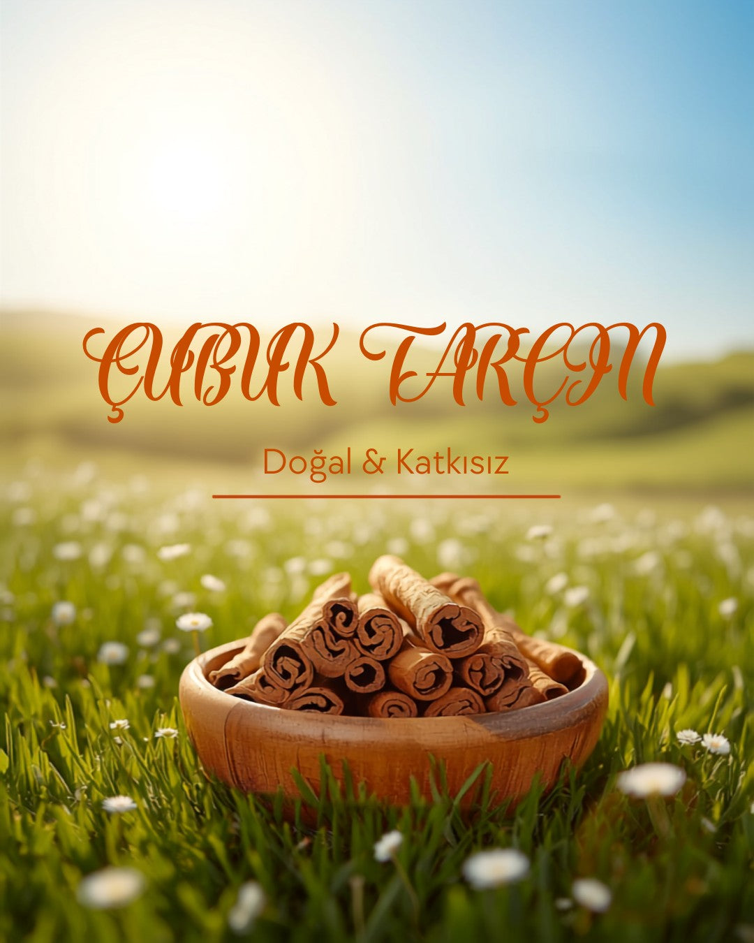 Toz Tarçın – Doğal & Katkısız